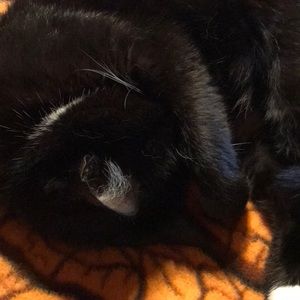 Meet your Posher, Kathi